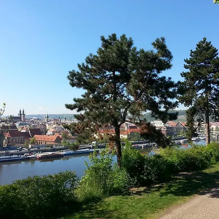 Letná *